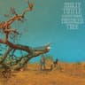 Album artwork for San Francisco Blues (feat. Dan Tyminski) by Molly Tuttle, Molly Tuttle & Golden Highway, Dan Tyminski