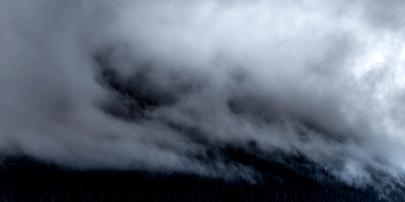 Foggy clouds lining the embankment of a forested hillside