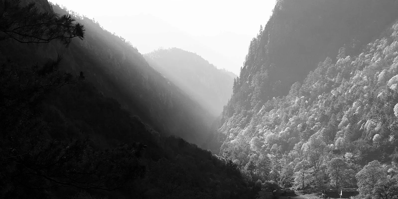 Black and white image of mountains